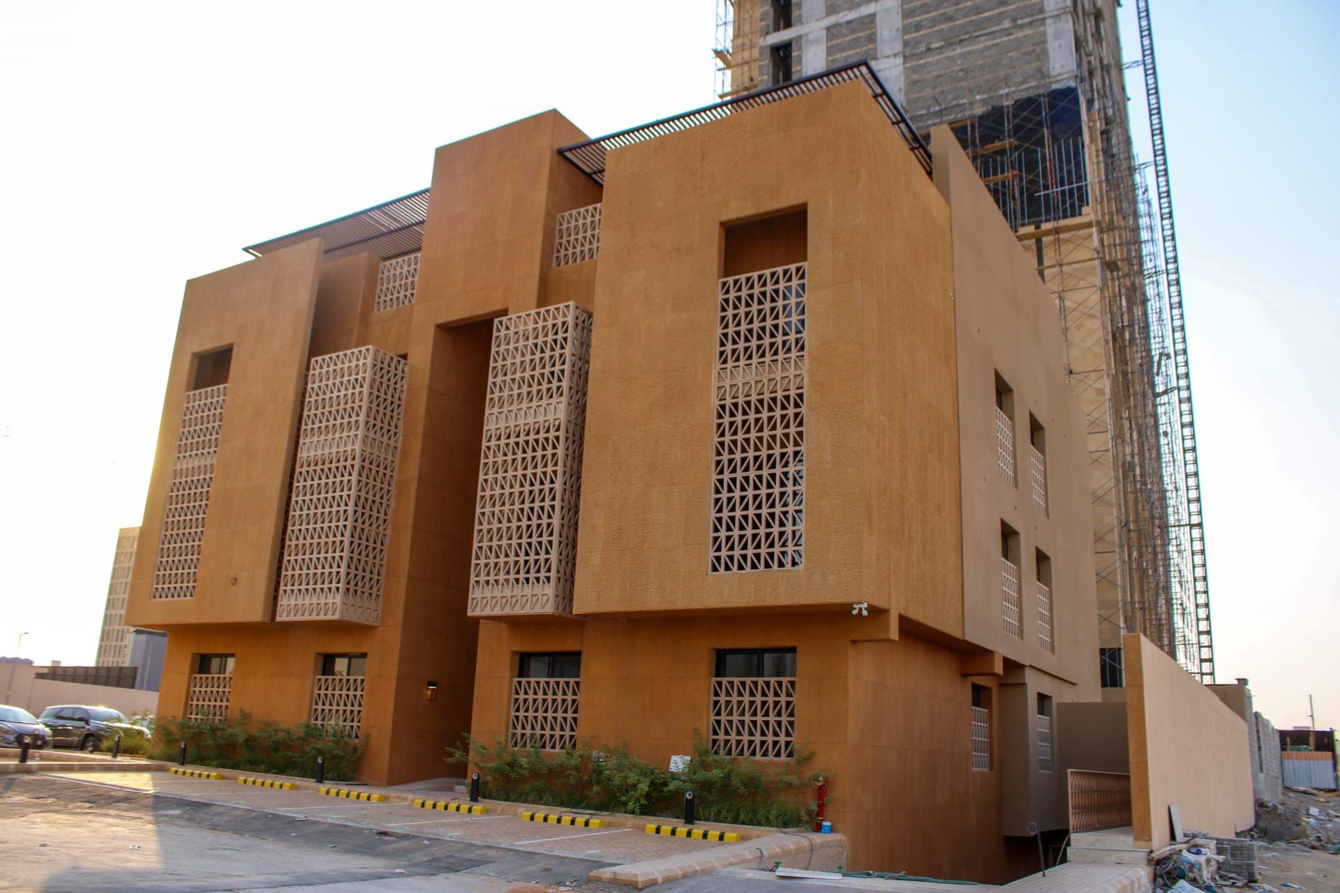 إشراقة النرجس 6