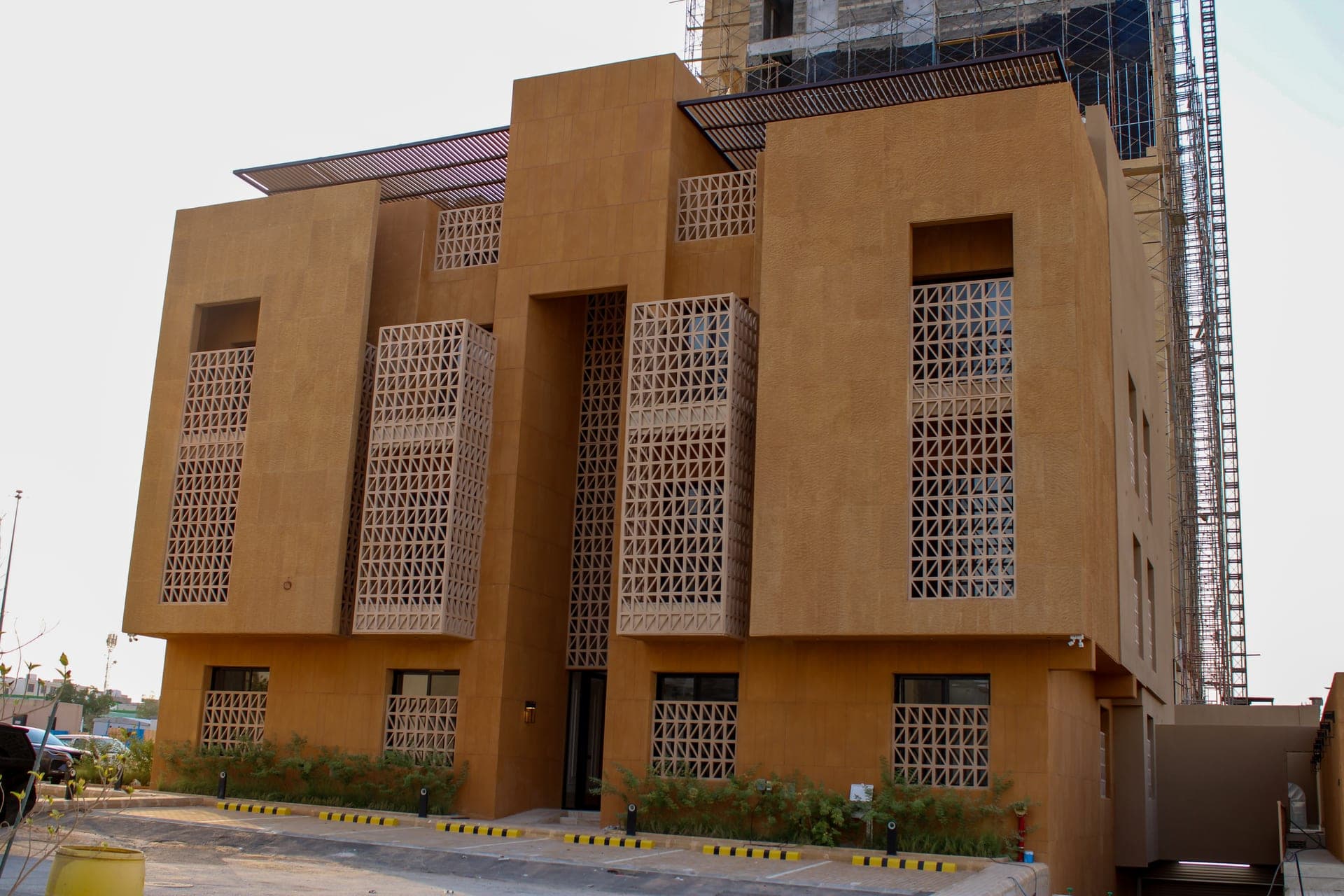 إشراقة النرجس 7